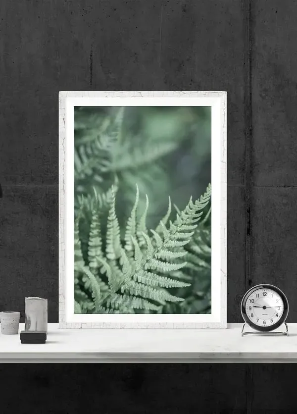 paproc-plakat-40x60-cm