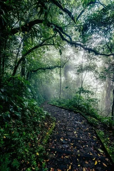 path-plakat-30x40-cm