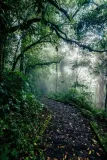 path-plakat-50x70-cm-stan-nowy