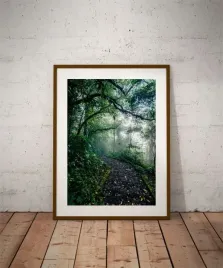 path-plakat-60x80-cm