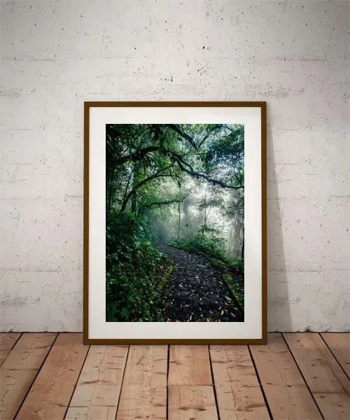 path-plakat-60x80-cm