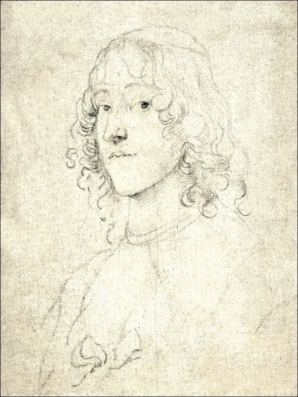 portrait-study-anthony-van-dyck-plakat-60x80-cm