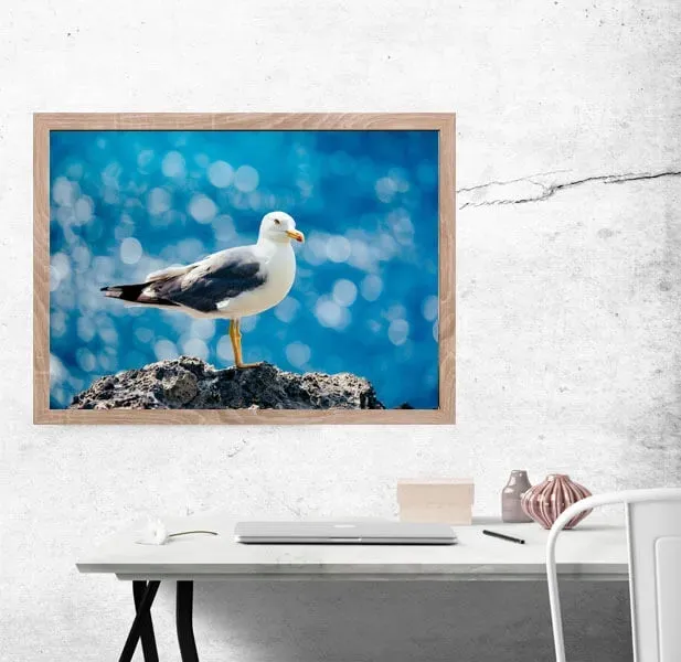 ptak-plakat-30x20-cm-stan-nowy