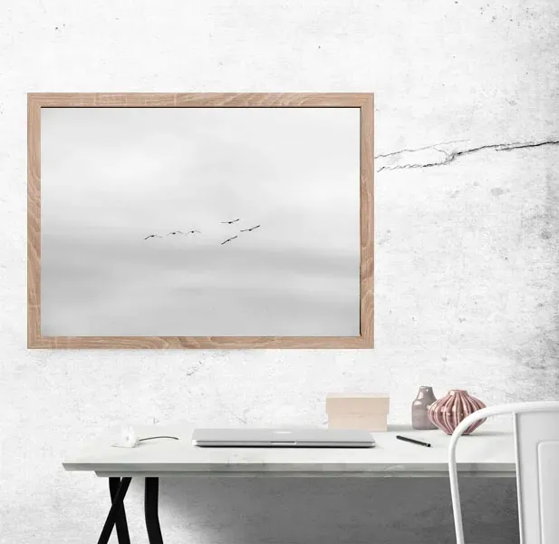 ptaki-plakat-100x70-cm