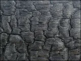 spalony-plakat-80x60-cm