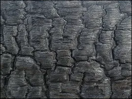 spalony-plakat-80x60-cm
