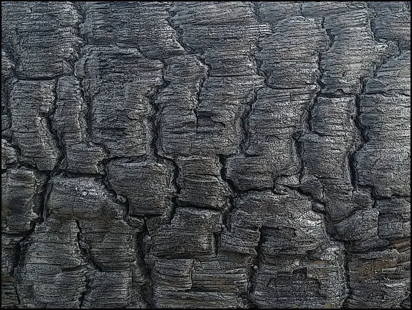 spalony-plakat-80x60-cm