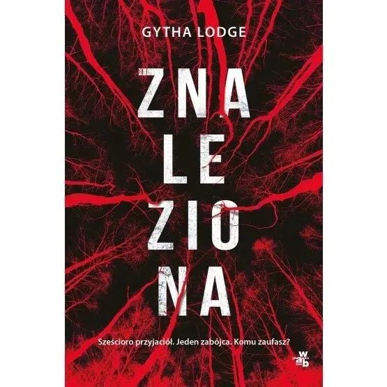 lodge-znaleziona