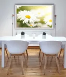 stokrotki-plakat-60x40-cm-stan-nowy