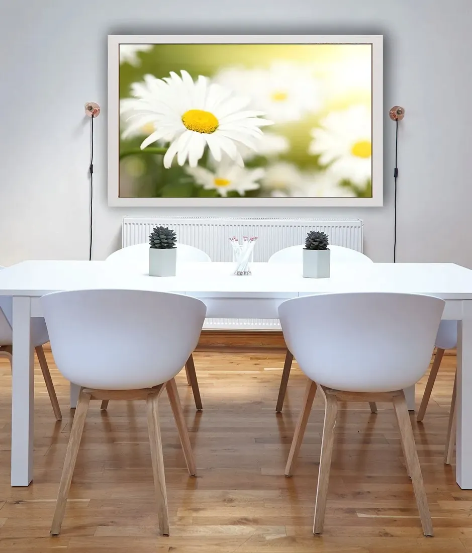 stokrotki-plakat-60x40-cm