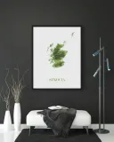 szkocja-mapa-plakat-30x40-cm-stan-nowy