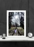 slonce-2-plakat-40x60-cm-stan-nowy