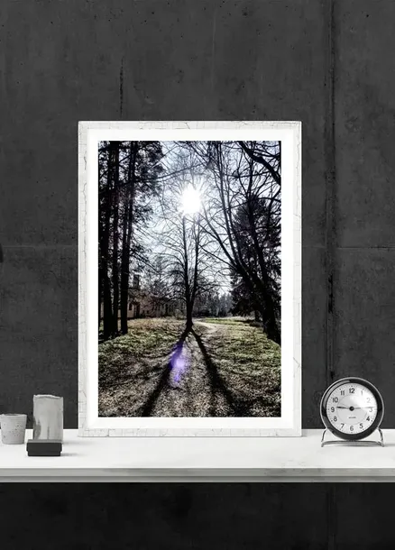 slonce-2-plakat-60x80-cm-stan-nowy
