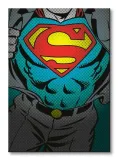 dc-comics-superman-torso-obraz-na-plotnie-85x120-cm-stan-nowy