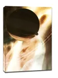 deep-space-chopin-obraz-na-plotnie-20x30-cm