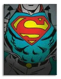dc-comics-superman-torso-obraz-na-plotnie-30x40-cm-stan-nowy