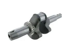wal-korbowy-briggsandstratton-692161