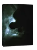 deep-space-picasso-obraz-na-plotnie-70x100-cm