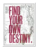 destiny-obraz-na-plotnie-30x40-cm-stan-nowy