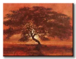 desert-tree-obraz-na-plotnie-80x60-cm