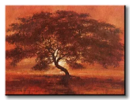 desert-tree-obraz-na-plotnie-80x60-cm-stan-nowy