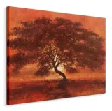 desert-tree-obraz-na-plotnie-80x60-cm-stan-nowy