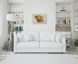 donald-obraz-na-plotnie-40x30-cm-stan-nowy