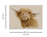 donald-obraz-na-plotnie-40x30-cm-stan-nowy
