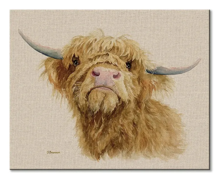 donald-obraz-na-plotnie-50x40-cm-stan-nowy