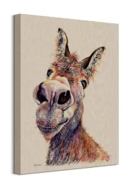 doreen-obraz-na-plotnie-40x50-cm