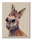 doreen-obraz-na-plotnie-40x50-cm-stan-nowy