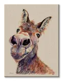 doreen-obraz-na-plotnie-60x80-cm-stan-nowy