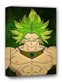 dragon-ball-broly-obraz-na-plotnie-60x80-cm