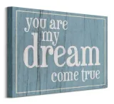 dream-obraz-na-plotnie-50x40-cm