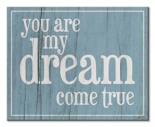 dream-obraz-na-plotnie-50x40-cm