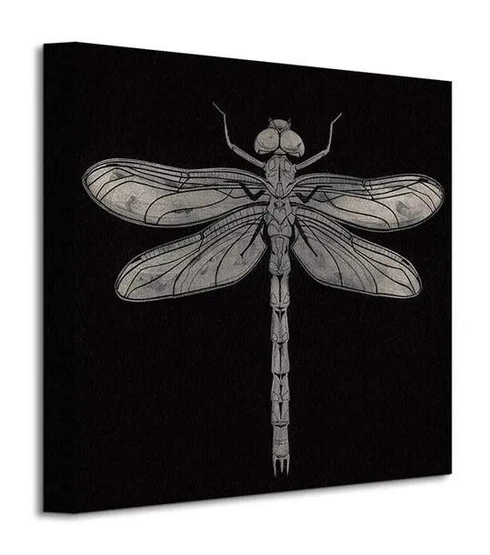 dragonfly-obraz-na-plotnie-30x30-cm