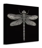 dragonfly-obraz-na-plotnie-30x30-cm