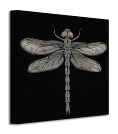 dragonfly-obraz-na-plotnie-30x30-cm