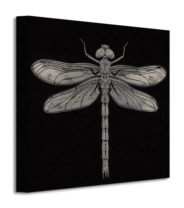 dragonfly-obraz-na-plotnie-30x30-cm-stan-nowy