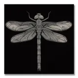 dragonfly-obraz-na-plotnie-30x30-cm-stan-nowy