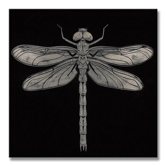dragonfly-obraz-na-plotnie-30x30-cm