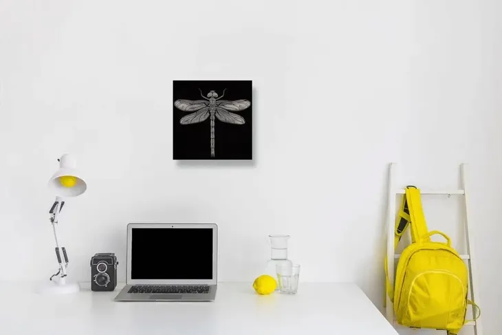 dragonfly-obraz-na-plotnie-30x30-cm-stan-nowy