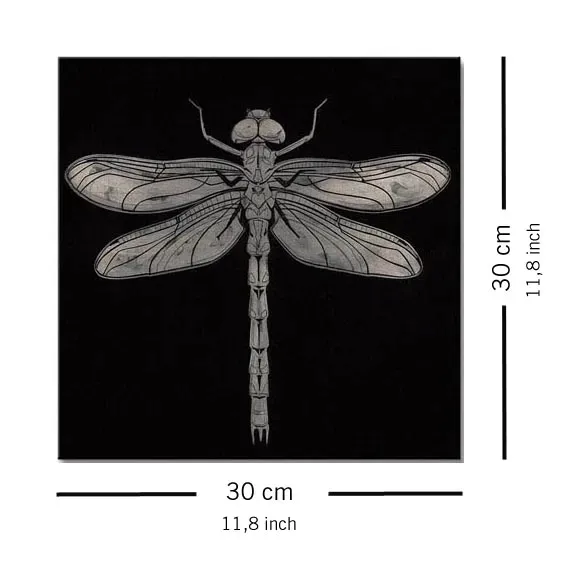 dragonfly-obraz-na-plotnie-30x30-cm-stan-nowy