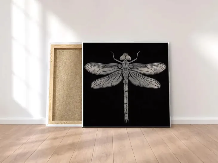 dragonfly-obraz-na-plotnie-30x30-cm-stan-nowy
