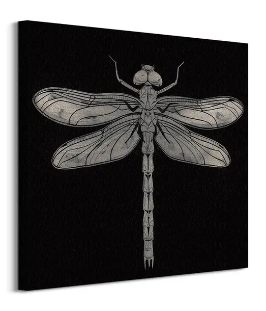 dragonfly-obraz-na-plotnie-60x60-cm