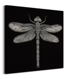 dragonfly-obraz-na-plotnie-60x60-cm