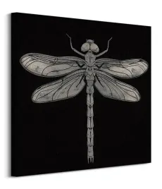 dragonfly-obraz-na-plotnie-60x60-cm