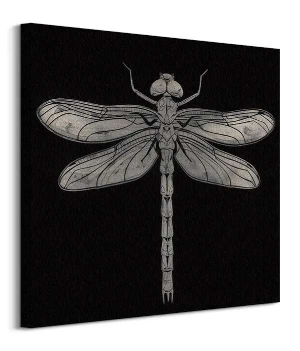 dragonfly-obraz-na-plotnie-60x60-cm