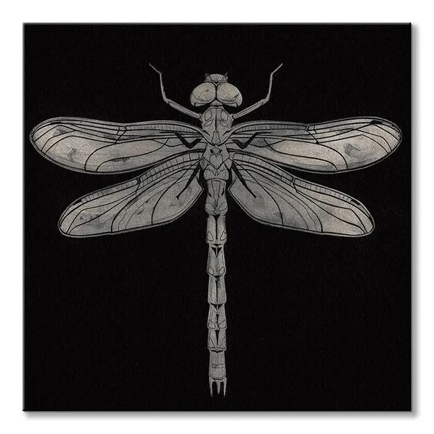 dragonfly-obraz-na-plotnie-60x60-cm-stan-nowy