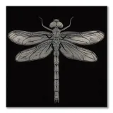dragonfly-obraz-na-plotnie-60x60-cm-stan-nowy